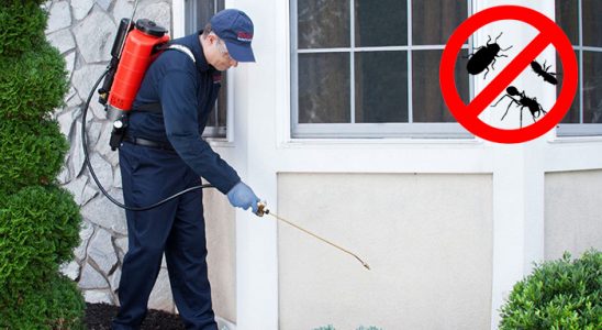 Milas Gümüşkurt İlaçlama böcek ilaçlama ve haşere kontrolü — ilaclama-tr.com